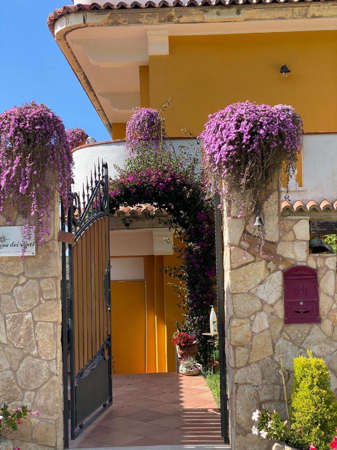 Rosa Dei Venti Accomodation Tropea Exterior photo